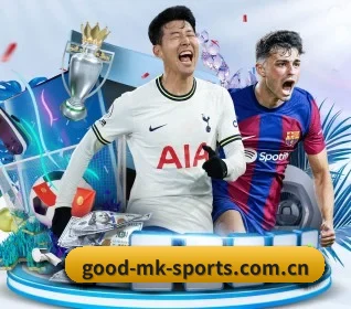 mk体育 APP - MKSports